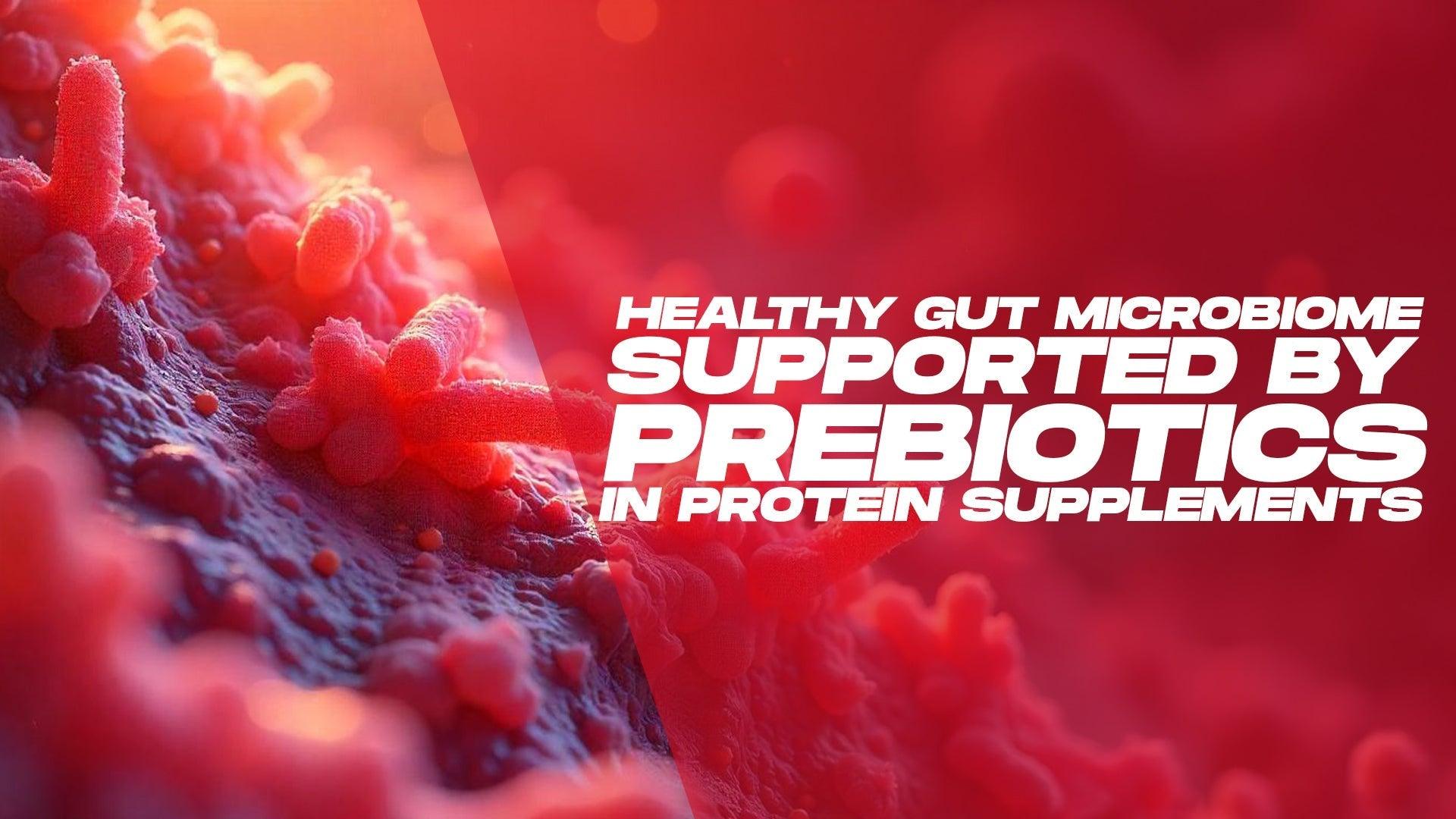 Gut Health & Protein: An Expert Explains the Benefits of Prebiotics in Trueforma Whey